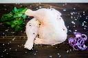 MARYLAND WHOLE.webp