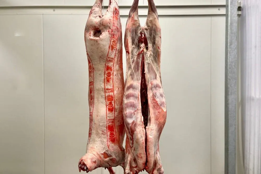 whole lamb.webp